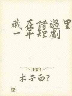 藏在错过里的十一年短剧