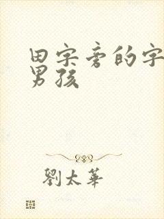 田字旁的字取名男孩