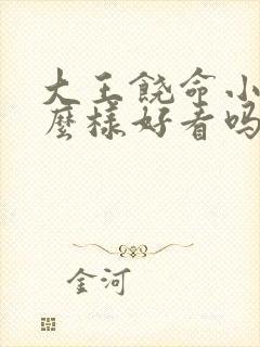 大王饶命小说怎么样好看吗