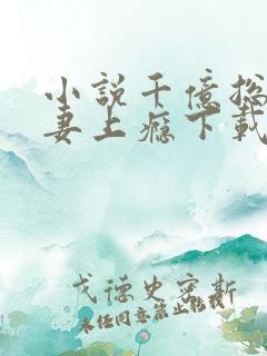 小说千亿总裁宠妻上瘾下载