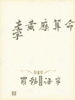 老黄历算命排八字