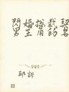 闪婚总裁契约妻男主角的名字