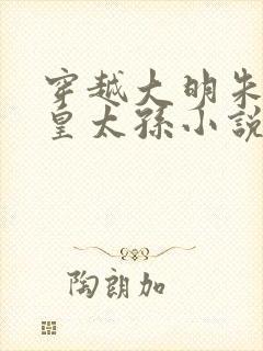 穿越大明朱寿是皇太孙小说