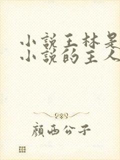小说王林是哪本小说的主人公