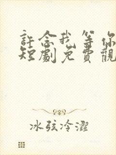 许念我等你十年短剧免费观看