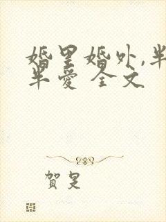 婚里婚外,半欢半爱 全文