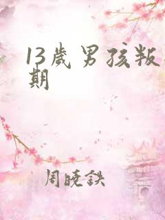 13岁男孩叛逆期