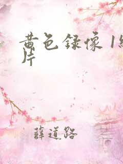 黄色录像 1级片