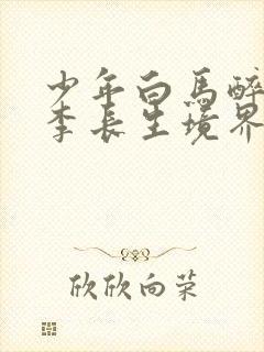 少年白马醉春风李长生境界