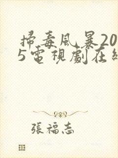 扫毒风暴2025电视剧在线播放免费观看