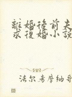 离婚后前夫哭着求复婚小说全集完整版