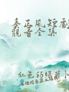 秦正风短剧免费观看全集