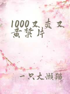 1000又爽又黄禁片