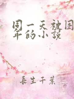 同一天被困一千年的小说