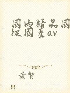 国内精品国产三级国产av