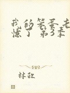 我的笨蛋老婆失忆了 第3季