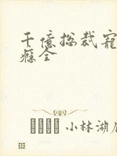 千亿总裁宠妻成瘾全