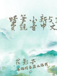 蜡笔小新5季免费观看中文版