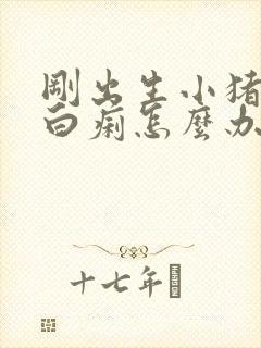 刚出生小猪拉黄白痢怎么办