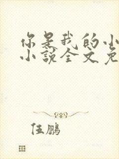 你是我的小确幸小说全文免费阅读