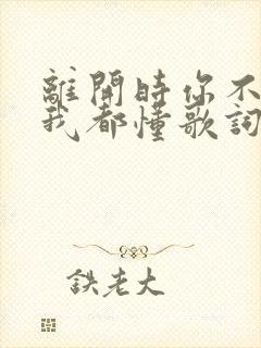 离开时你不用说我都懂歌词