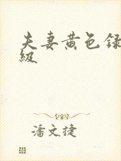 夫妻黄色录像一级