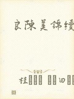良陈美锦续写