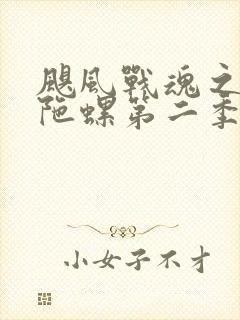 飓风战魂之剑旋陀螺第二季免费观看