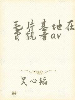 毛片基地在线免费观看av