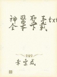 神医圣手txt全本下载