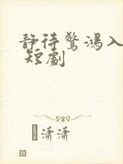 静待惊鸿入瓮慌 短剧