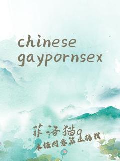 chinesegaypornsex