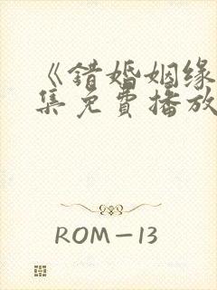 《错婚姻缘》全集免费播放