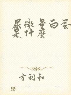 尿微量白蛋白高是什么