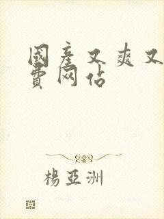 国产又爽又黄免费网站