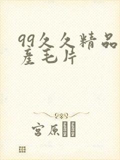 99久久精品国产毛片