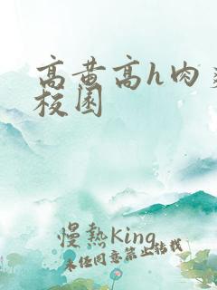 高黄高h肉爽文校园