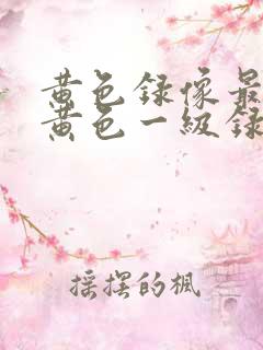 黄色录像最黄的黄色一级录像