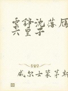 云铮沈落雁无敌六皇子