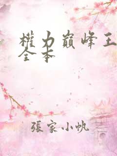 权力巅峰王洪涛全本