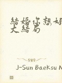 结婚你想好了么大结局