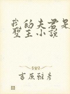 我的夫君是苗疆圣主小说