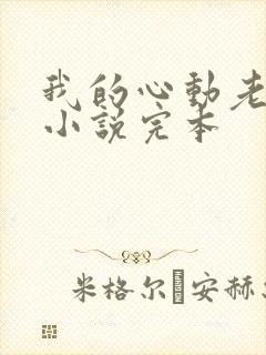 我的心动老板娘小说完本