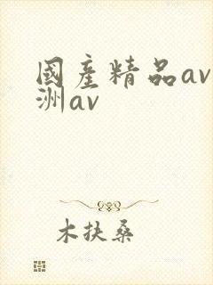 国产精品av亚洲av