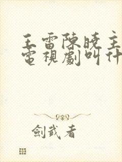 王雷陈晓主演的电视剧叫什么名字