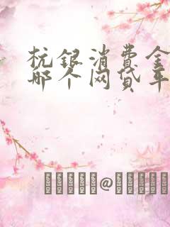 杭银消费金融是哪个网贷平台放款