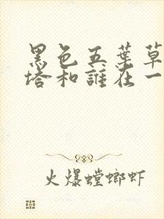 黑色五叶草阿斯塔和谁在一起