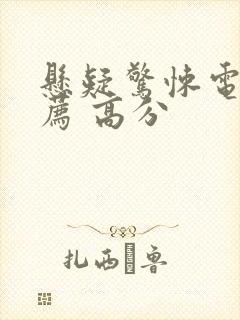 悬疑惊悚电影推荐 高分