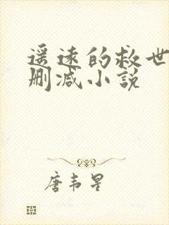 遥远的救世主无删减小说