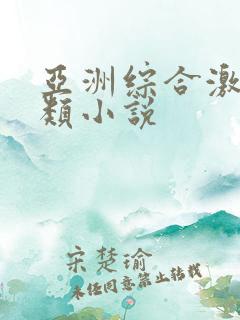 亚洲综合激情另类小说